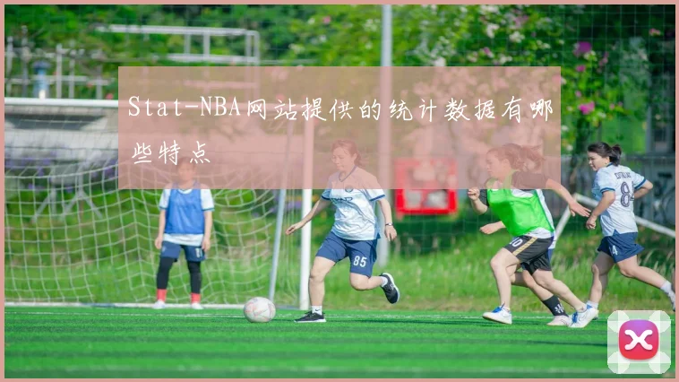 Stat-NBA网站提供的统计数据有哪些特点
