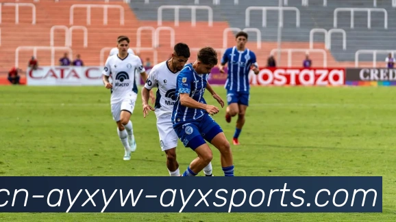 爱游戏服务体系